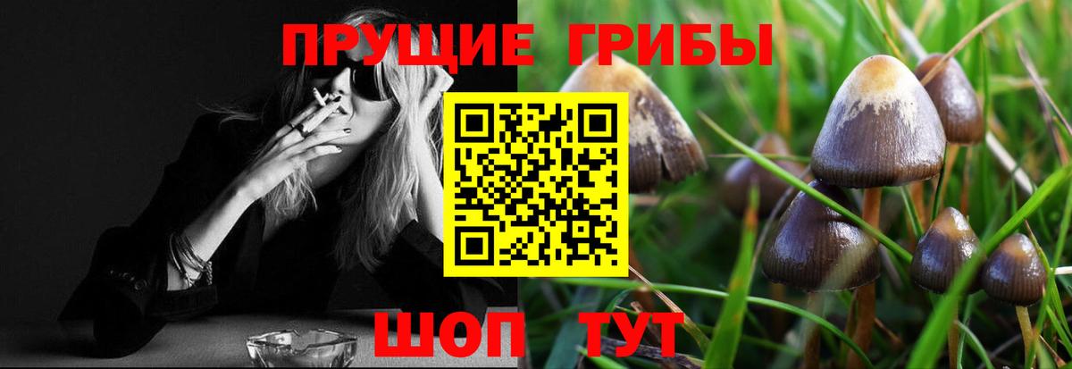 Псилоцибиновые грибы MAGIC MUSHROOMS  купить наркоту  Галлюциногенные грибы GOLDEN TEACHER  Наро-Фоминск  Вход с VPN 